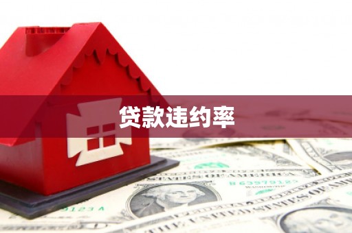仙桃贷款违约率