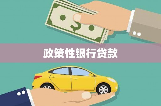 仙桃政策性银行贷款