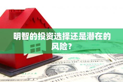 仙桃明智的投资选择还是潜在的风险？