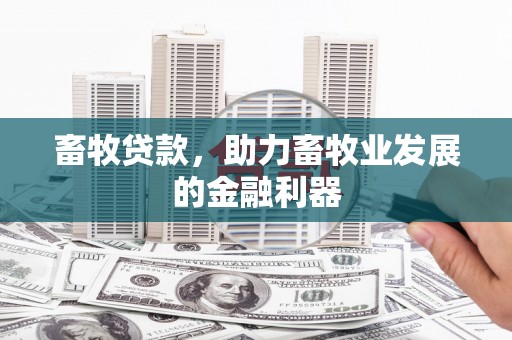 仙桃畜牧贷款，助力畜牧业发展的金融利器