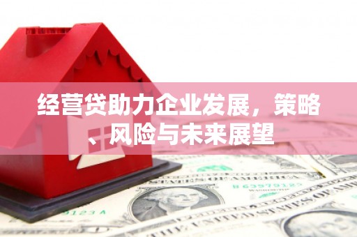 仙桃经营贷助力企业发展，策略、风险与未来展望