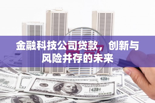 仙桃金融科技公司贷款，创新与风险并存的未来