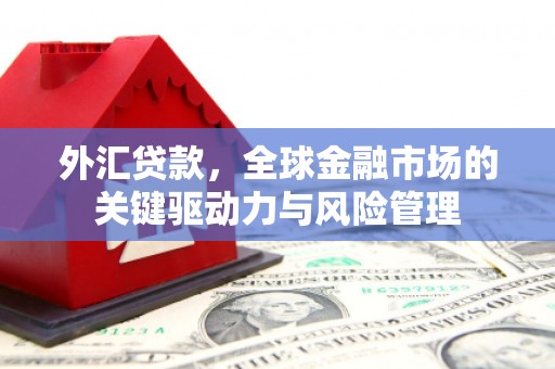 仙桃外汇贷款，全球金融市场的关键驱动力与风险管理
