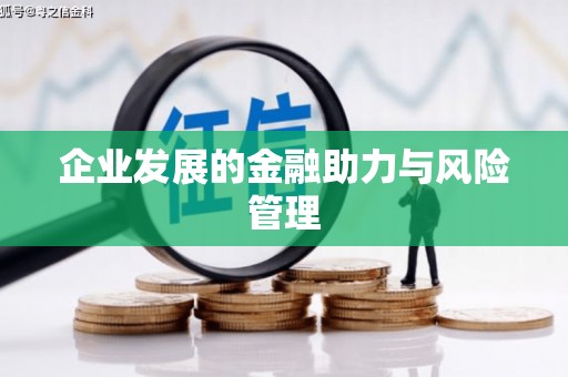仙桃企业发展的金融助力与风险管理