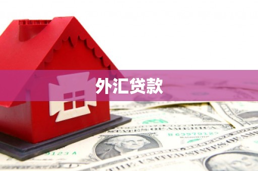 仙桃外汇贷款