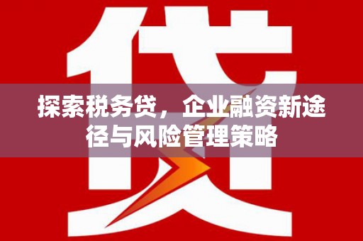 仙桃探索税务贷，企业融资新途径与风险管理策略