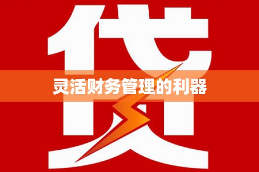 仙桃灵活财务管理的利器