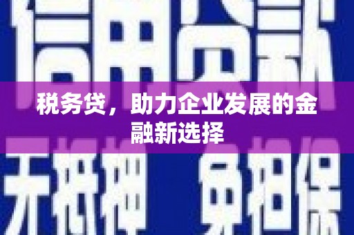 仙桃税务贷，助力企业发展的金融新选择