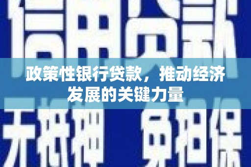 仙桃政策性银行贷款，推动经济发展的关键力量