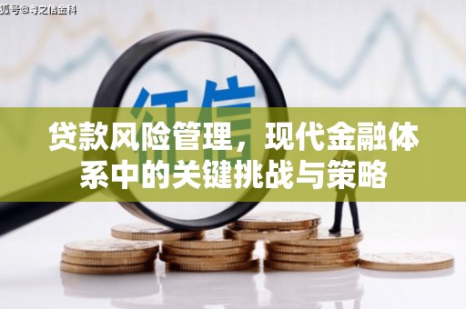 仙桃贷款风险管理，现代金融体系中的关键挑战与策略