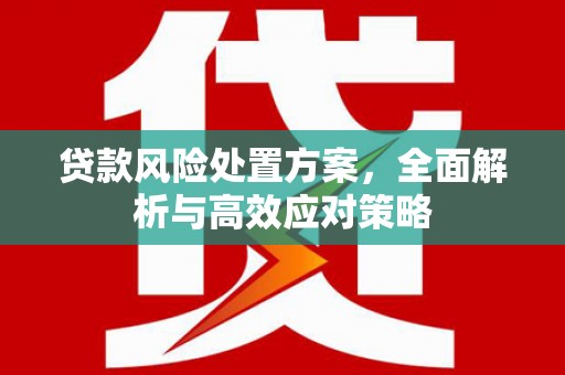 仙桃贷款风险处置方案，全面解析与高效应对策略