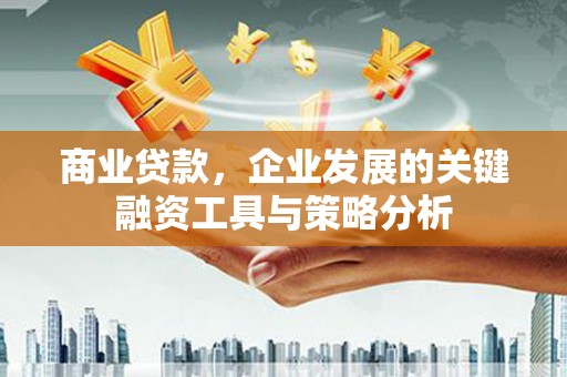仙桃商业贷款，企业发展的关键融资工具与策略分析