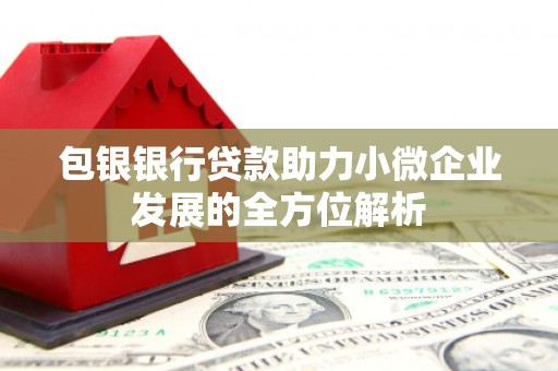 仙桃包银银行贷款助力小微企业发展的全方位解析