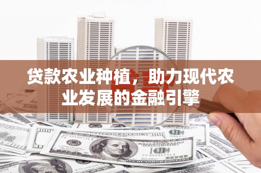 仙桃贷款农业种植，助力现代农业发展的金融引擎