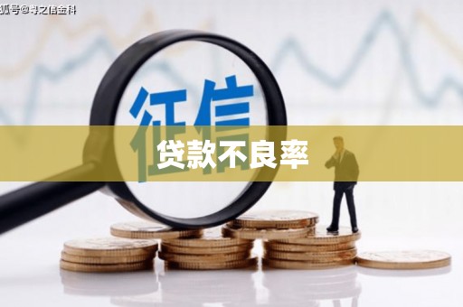 仙桃贷款不良率
