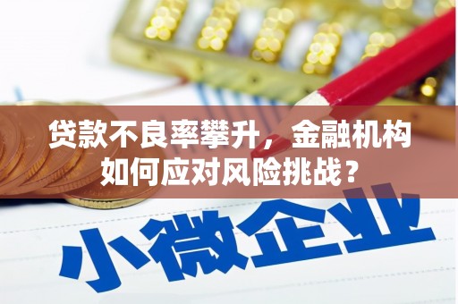 仙桃贷款不良率攀升，金融机构如何应对风险挑战？