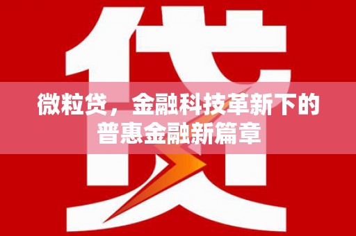 仙桃微粒贷，金融科技革新下的普惠金融新篇章