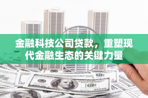 仙桃金融科技公司贷款，重塑现代金融生态的关键力量