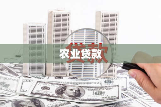 仙桃农业贷款