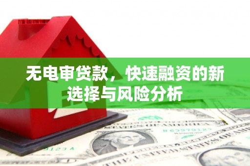 仙桃无电审贷款，快速融资的新选择与风险分析