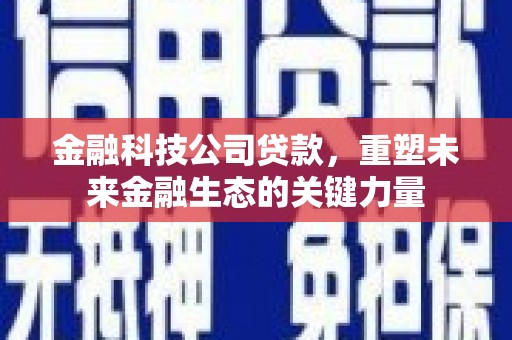仙桃金融科技公司贷款，重塑未来金融生态的关键力量