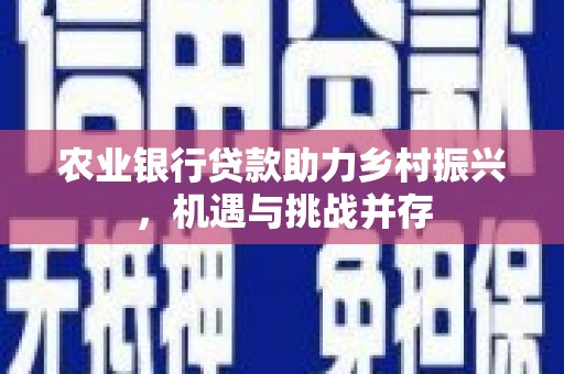 仙桃农业银行贷款助力乡村振兴，机遇与挑战并存