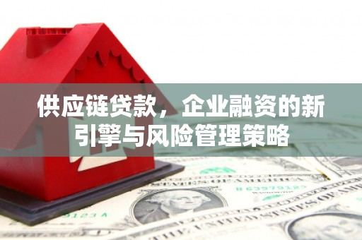 仙桃供应链贷款，企业融资的新引擎与风险管理策略