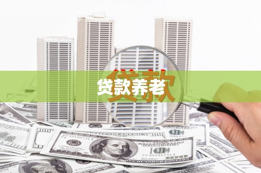 仙桃贷款养老