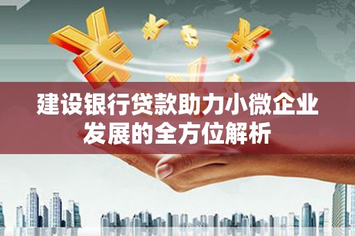 仙桃建设银行贷款助力小微企业发展的全方位解析
