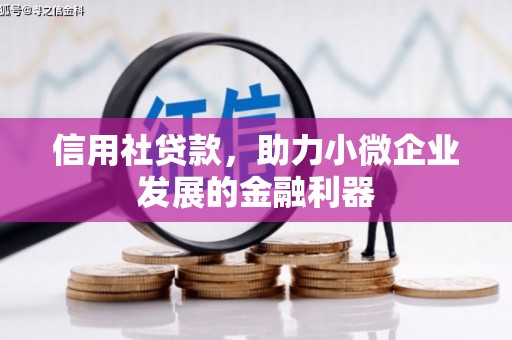仙桃信用社贷款，助力小微企业发展的金融利器