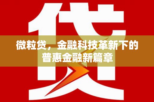 仙桃微粒贷，金融科技革新下的普惠金融新篇章