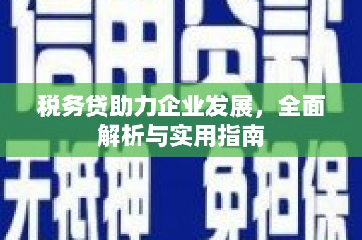 仙桃税务贷助力企业发展，全面解析与实用指南