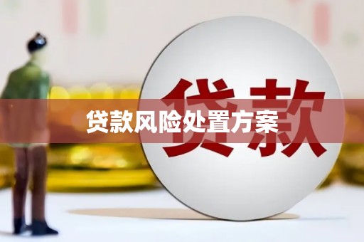 仙桃贷款风险处置方案
