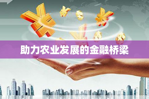 仙桃助力农业发展的金融桥梁