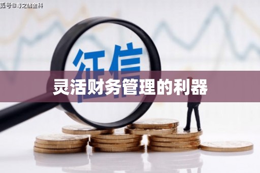 仙桃灵活财务管理的利器