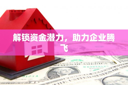 仙桃解锁资金潜力，助力企业腾飞