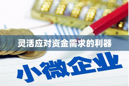 仙桃灵活应对资金需求的利器