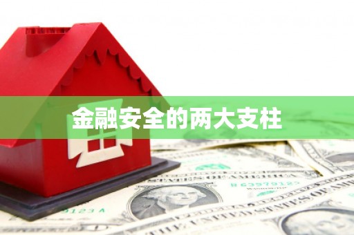仙桃金融安全的两大支柱