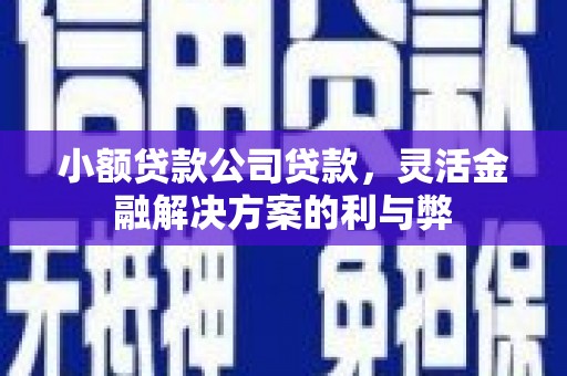 仙桃小额贷款公司贷款，灵活金融解决方案的利与弊